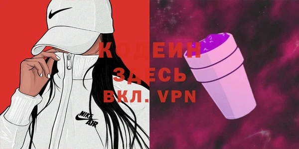 амф Елизово