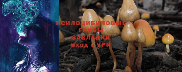 не бодяженный Дмитров
